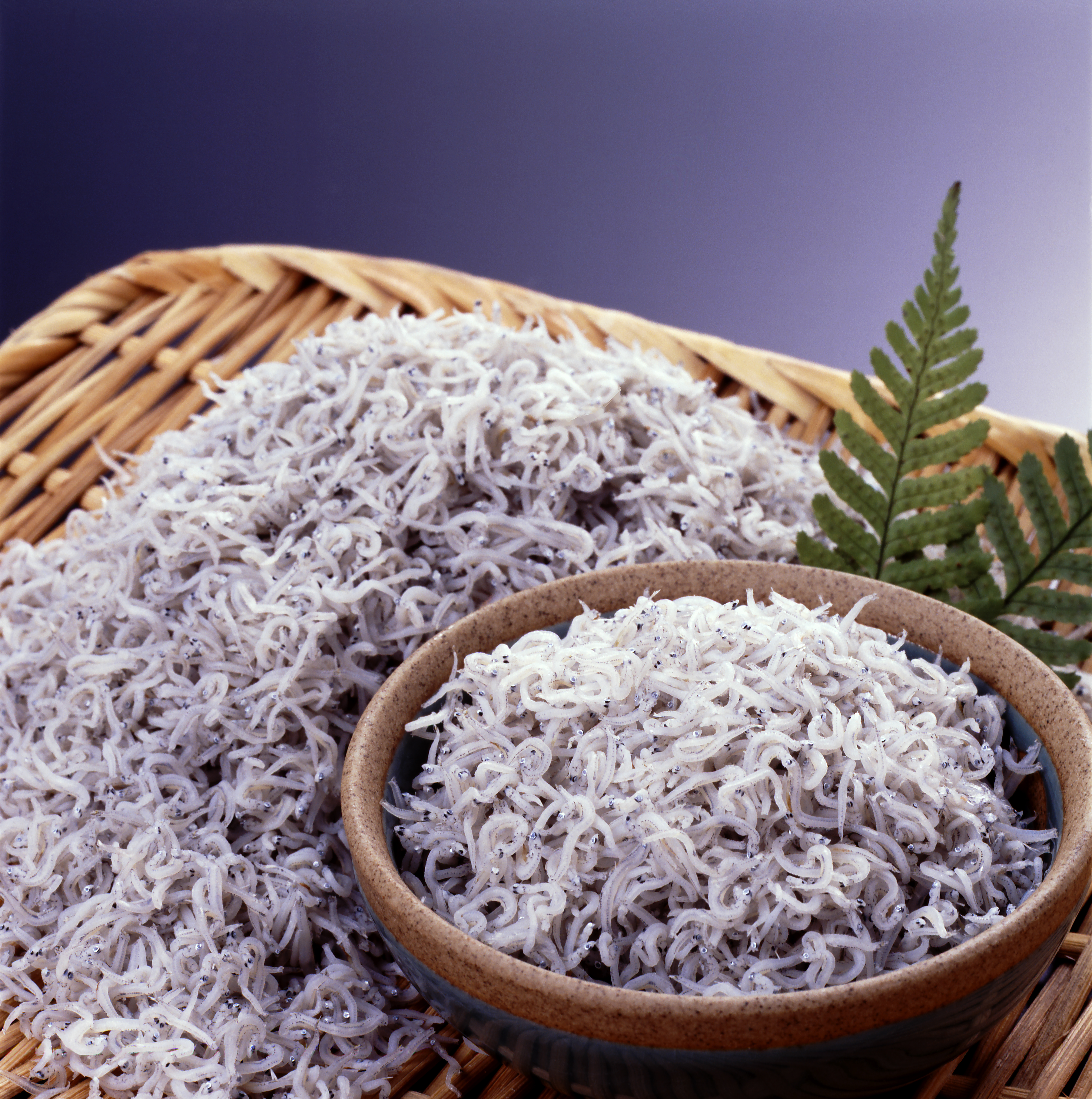 令和8年4月催事予定